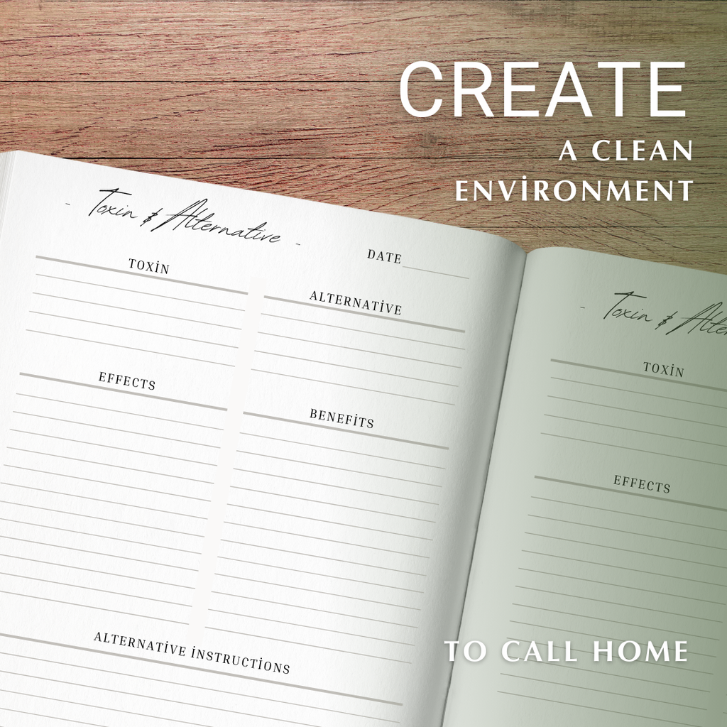 The Holistic Journal- A Guide to Holistic Healing of the Mind, Body & Home